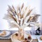 120PCS Natural Pampas Grass Decor Bouquet | Boho Dried Floral Arrangement Centerpiece Table Decor Wedding Decor Rustic Decor